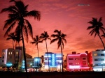 Settimana a Miami